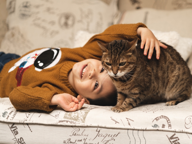 cat-with-kid
