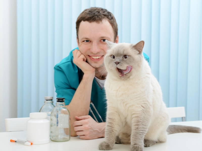 cat-with-doctor