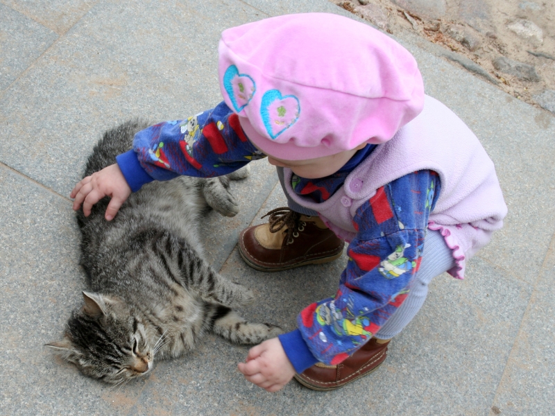 cats-and-babies 