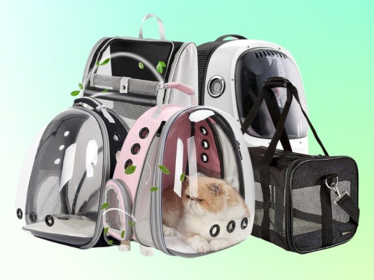 best-cat-backpack-carrier